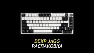 Dexp Jagg 01 - Unboxing