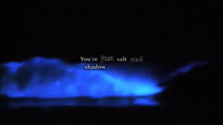 Video thumbnail of "Thrice - Salt and Shadow [Lyric video]"