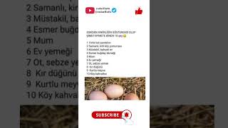 Zaman Değişti… Değerler De