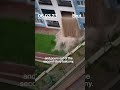 Flood water poured out of this apartment building in Turkey after flash floods.