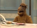 Alf best moment d willy willy willy