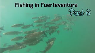 Sea Fishing in The Canaries, Fuerteventura | Part 6 | Morro Jable monster Stingrays and Wild Cofete