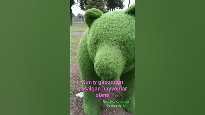 Porno video oqituvchi uyda oquvchini masxara qildi Transseksuallarda vaginoplastika