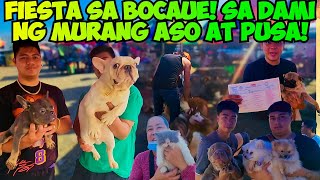 MAPAPA WOW KA!  ANDAMING BAGSAK PRESYO SA BOCAUE PET MARKET! by Tita A's Vlog 8,741 views 3 weeks ago 34 minutes