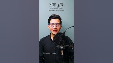 ايات جميلة جداً وقصيرة | القارئ حسين طيار