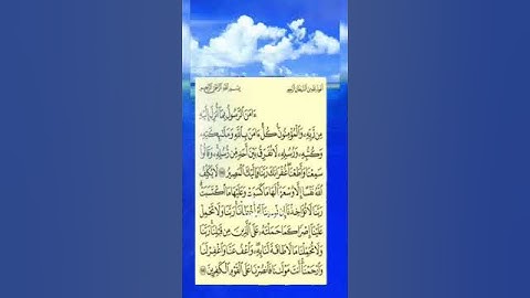 القران الكريم نور وشفاء القلوب تلاوات خاشعه اللهم بارك (4)