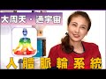 大周天大宇宙能量門戶│人體脈輪系統│氣功入門【微笑養氣堂】