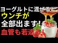 ヨーグルトを毎日食べても効果が出ない理由！医師が教える腸活の新常識｜バナナ・オリゴ糖・きな粉で腸内環境改善【健康長寿】