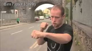 Hardy Bucks Pub story - Microtonal Harmonizator (24-TET)