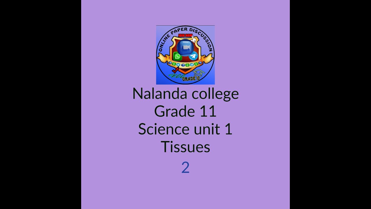 Online P D Nalanda College Grade 11 Science Unit 1 Tissues Discussion Online p d nalanda college grade 11 science unit 1 tissues discussion