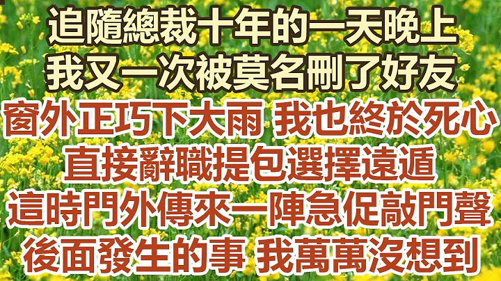 追随总裁十年的一天晚上，我又一次被莫名删了好友，窗外正巧下大雨我也终于死心，直接辞职提包选择远遁，这时门外却传来一阵急促敲门声，后面发生的事 我万万没想到#幸福敲门 #为人处世 #生活经验 #情感故事 - 天天要闻