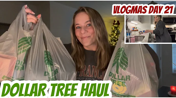 DOLLAR TREE HAUL | NEW| VLOGMAS DAY 21 | UNLOAD DISHES 