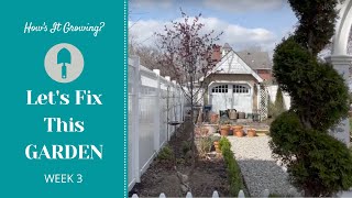 Let's Fix This Garden Episode 3 - New Spot for my Crabapple 🌳 How's It Growing?