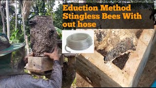 Eduction Method Stingless Bees