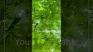 One Minute Break a Day, 21 Days, Relax ~ DAY 8: Maple leaves ~ #nature #trees #affirmations