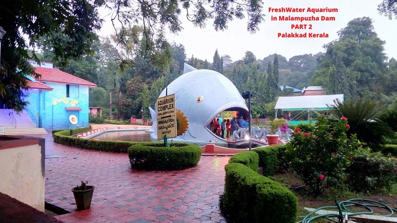 FreshWater Aquarium in Malampuzha Dam | PART 2 | Palakkad | Kerala