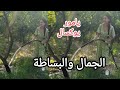 تفاعل كبير من المواقع بفوز سيلا ويامور يامور في مسقط رأسها أخر التحديثات تفاعل كبير من المواقع بفوز سيلا ويامور يامور في مسقط رأسها أخر التحديثات
