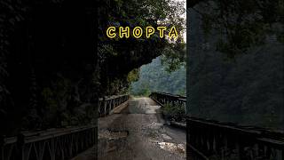 Water Fall Near Chopta #nature #chopta #waterfall #mountains #2025