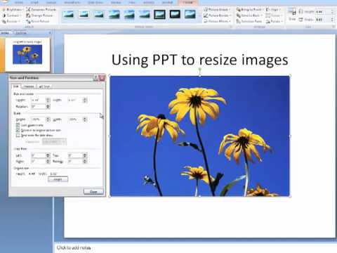 resize pictures in powerpoint presentation