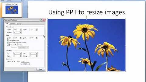 How to crop and resize an image using PowerPoint.