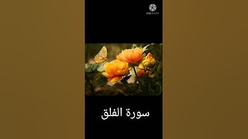 #short سورة الفلق تلاوة عطرة للشيخ اسلام صبحي # أحمد العجمي# راشد العفاسي