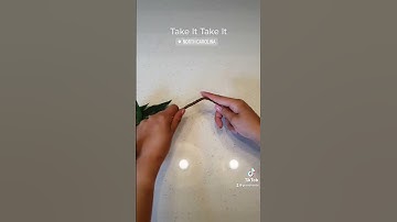 Ficus - Faux Tree Branches