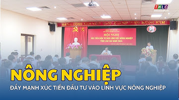 Đẩy mạnh xúc tiến đầu tư vào lĩnh vực nông nghiệp | THLC