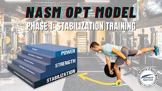 NASM OPT Model Phase 1: Stabilization Training Explained Resimi