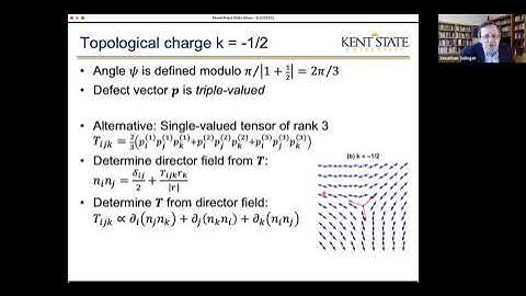 Defects in Liquid Crystals: Topology, Geometry, and Mechanics