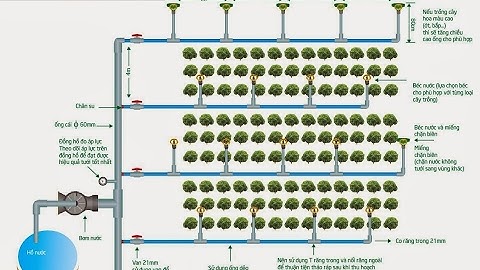 Hệ thống tưới tự động trên vườn cây ăn trái - Lắp đặt hệ thồng tưới thông minh