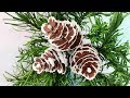 ABC TV | How To Make Pine Cones Paper #1 - Craft Tutorial