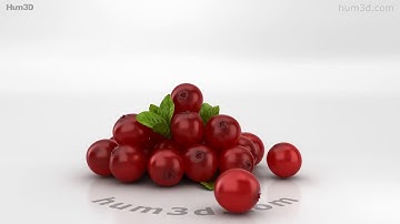 Cranberry 3D model by 3DModels.org