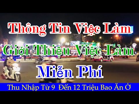 Video Thông Tin Việc Làm, Trung Tâm Dịch Vụ Cung Ứng Người... - youtube
