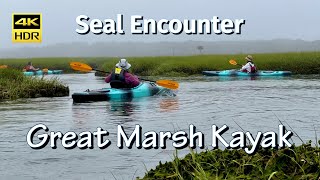 Encounter Seals - Cape Cod Great Marsh Kayak Adventure - Low Tide by myhuskymax 178 views 9 months ago 2 minutes, 45 seconds