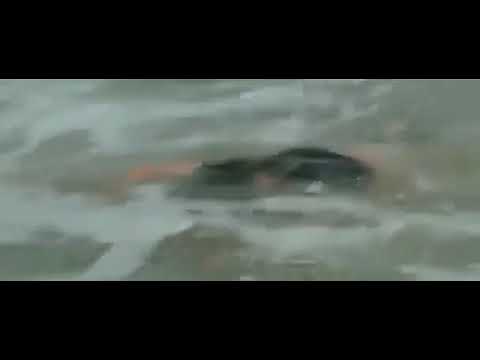 Video Donne moi la Main - 2 Men Fight in Ocean, Knocked out... - youtube