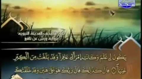 القران الكريم|الجزء السادس عشر (16)|الشيخ العيون الكوشي HOLY QURAN|PART 16|  Al Ayoune Al Kouchi