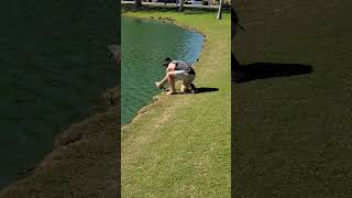 The Turtle Man catching dinosaurs at jurassic pond