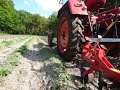 *FarmVlog #89* Kartoffeln hacken und häufeln