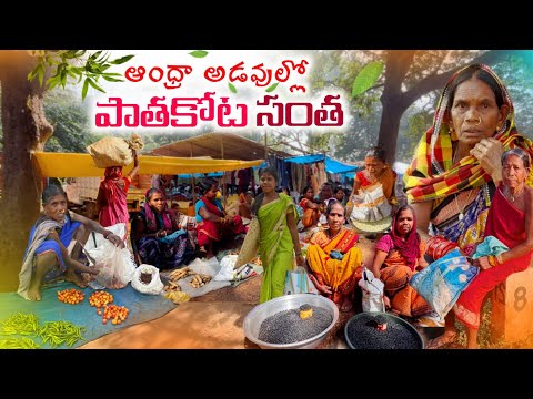 Remote Tribal Market Secrets💥 పెద్దపండగ కోసం అడవిబిడ్డల సంత @TribalMirror 