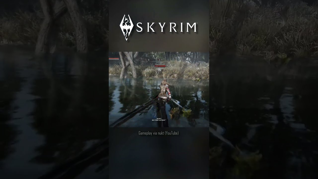 Skyrim Modded Into A STUNNING Different Game 