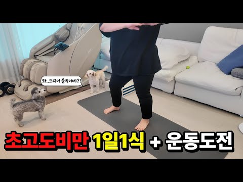(초고도비만 다이어트 #6) 초고도비만의 1일1식 다이어트