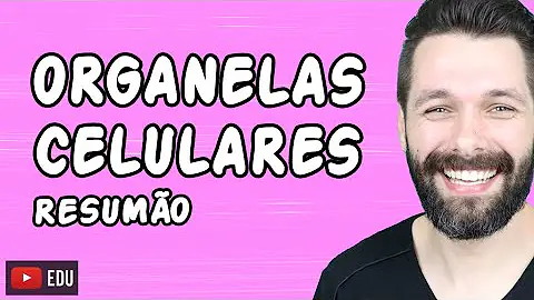 O que é hialoplasma e qual a sua composição?