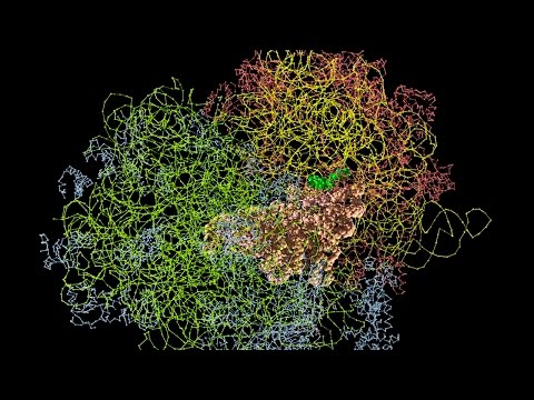 Video: Det RNA-bindende Protein RBMS3 Inhiberer Metastasen Af brystkræft Ved At Regulere Twist1-ekspression