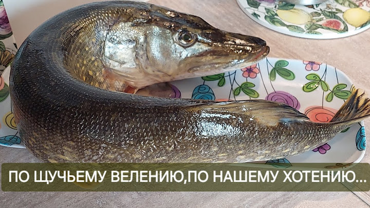 Vlog // Thursday is fish day. Two fish dishes in one day // Squid salad and Pike cutlets //