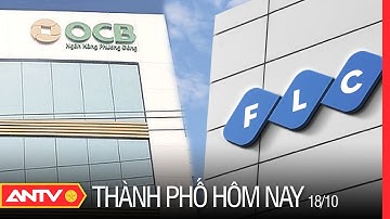 OCB Nhận Hàng Trăm Bất Động Sản Của FLC | Thành Phố Hôm Nay Ngày 18/10 | ANTV