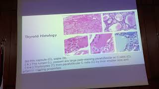 Endo- Thyroid Gland 2: Histology/ Anatomy/ Embryology