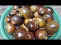 Snail Cooking and Eating || Catching for village style || Cooking North Indian Snail in Village