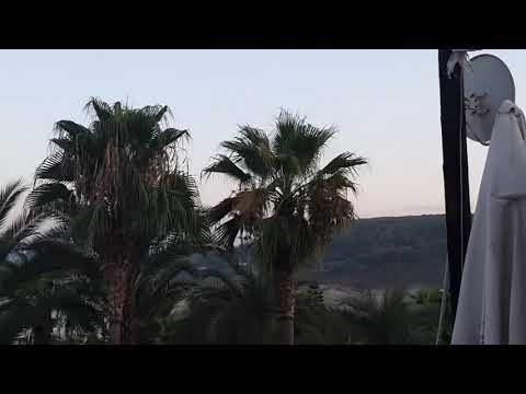 مشقيتا فندق رويال بالس