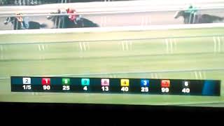 Wacky Horse is all over Racetrack in stretch