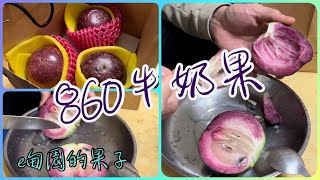 開箱「860牛奶果」真如坊間所說連皮都能吃嗎？2024年2月15日